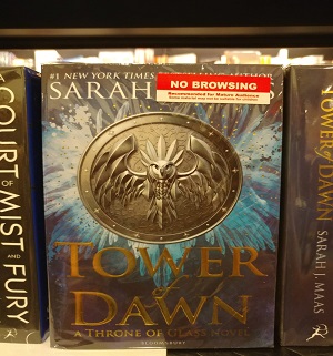 towerofdawn