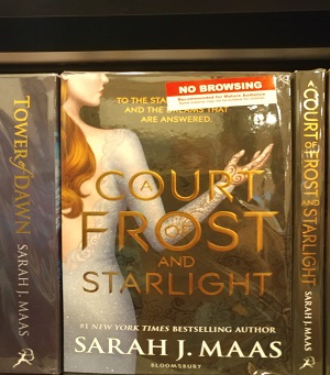 court of frost and starlight